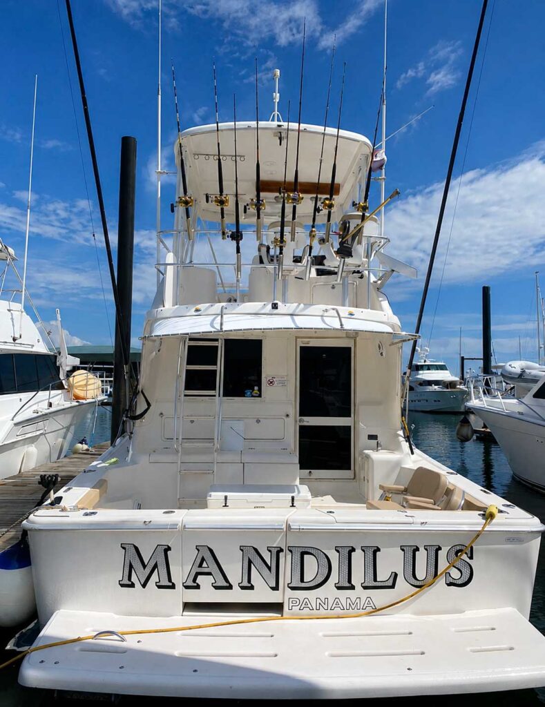 YATE-MANDILUS1