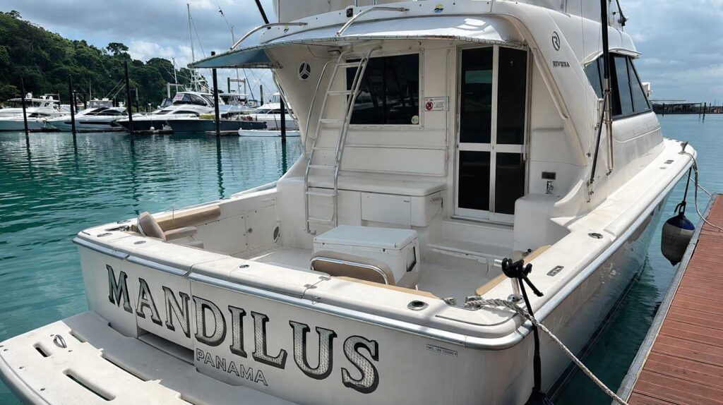YATE-MANDILUS2