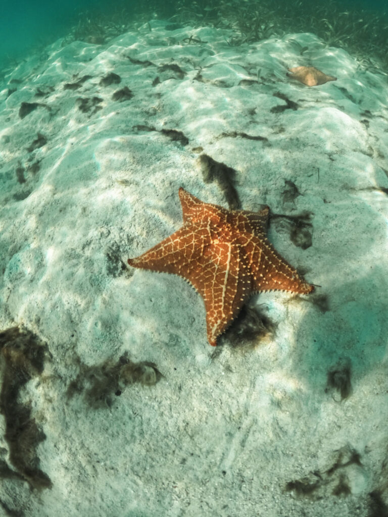 1-imgi_20_San-Blas-Islands_San-Blas-Archipelagoscaled