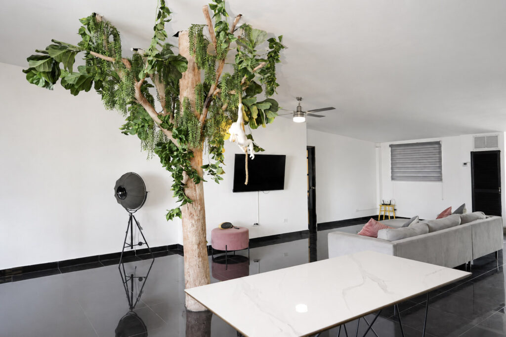 CASADEPLAYA_ROED20
