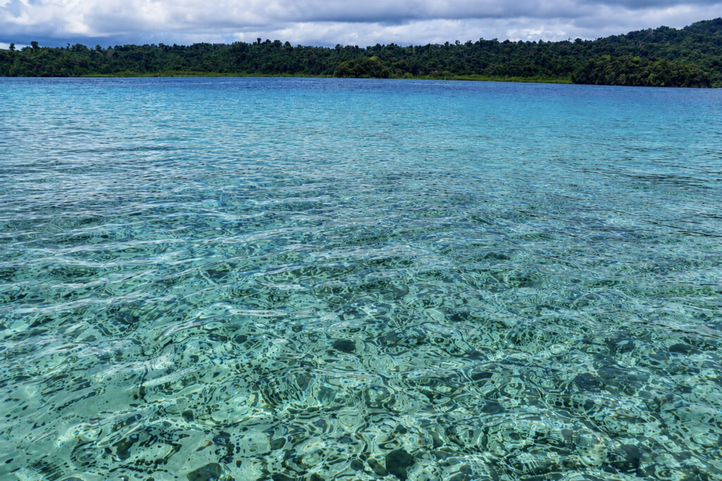 COIBA-ROED1