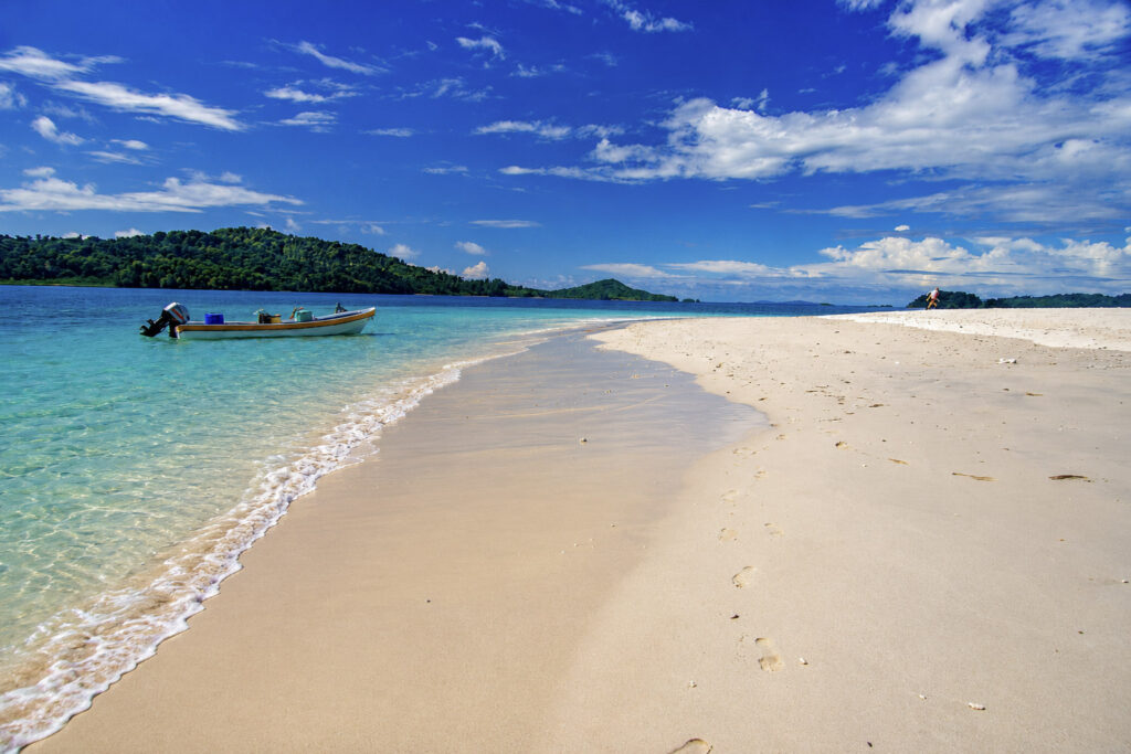 COIBA-ROED2