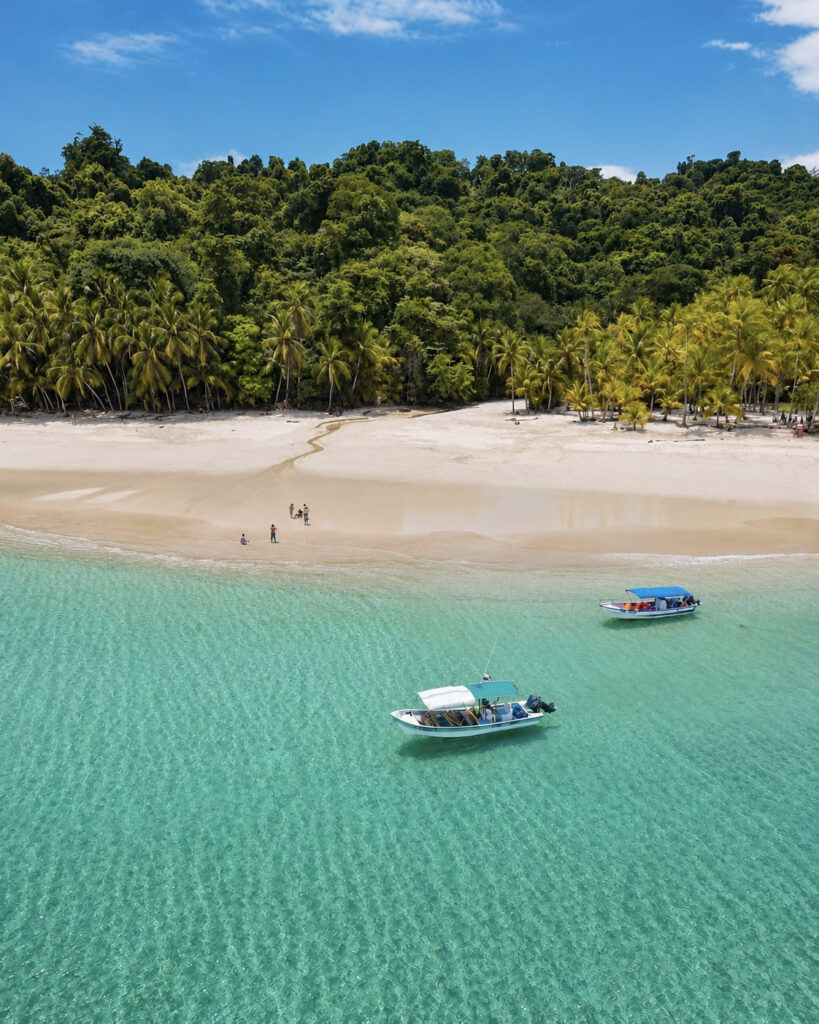 COIBA-ROED4