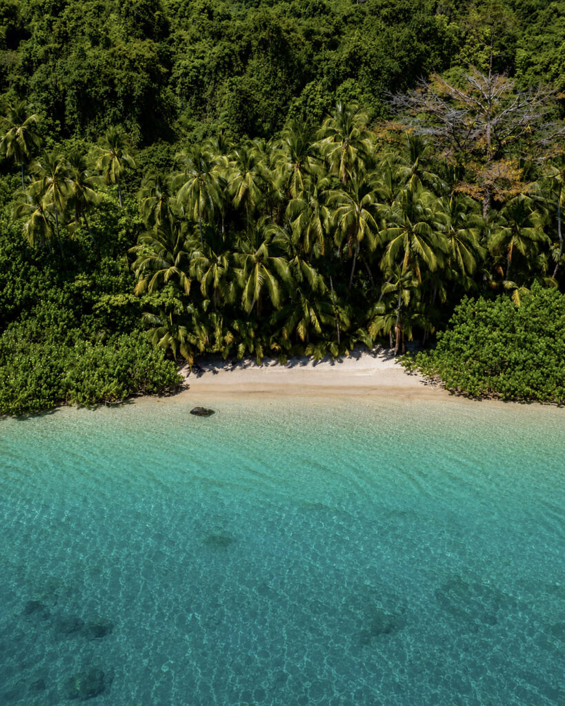 COIBA-ROED7
