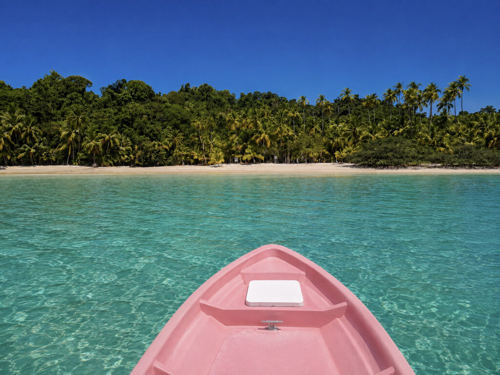 COIBA-ROED8