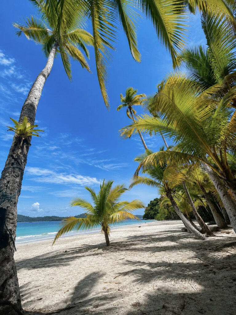 COIBA-ROED9