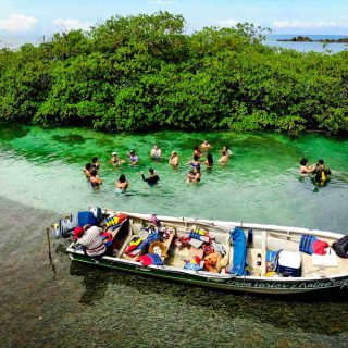 DJI_0890-1-1
