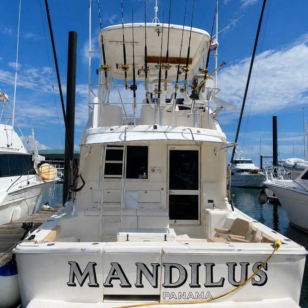 YATE-MANDILUS1