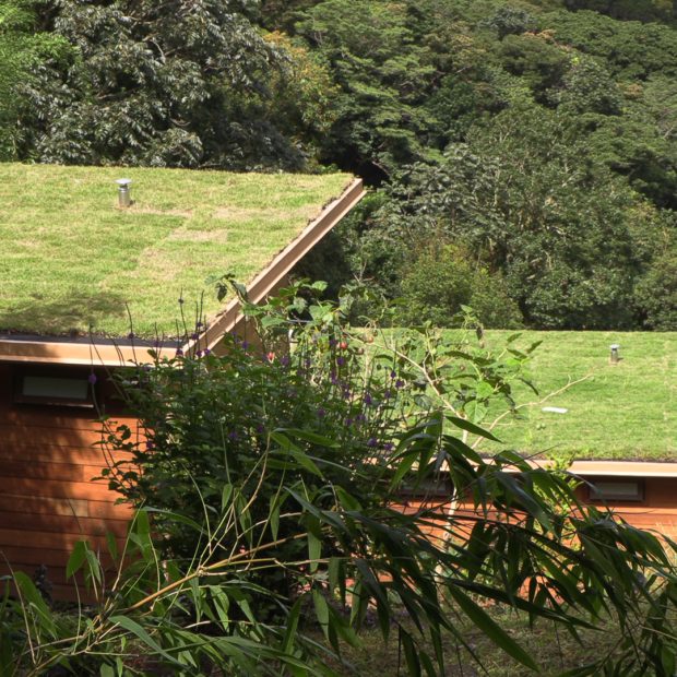 exterior-3